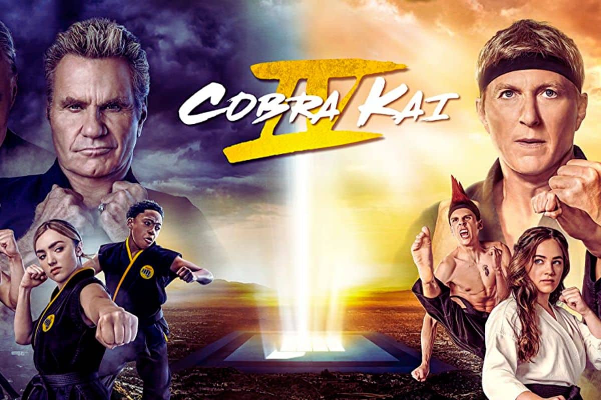 Mauvaise nouvelle pour les fans de Cobra Kai : les dates de sortie des parties 2 et 3 repoussées